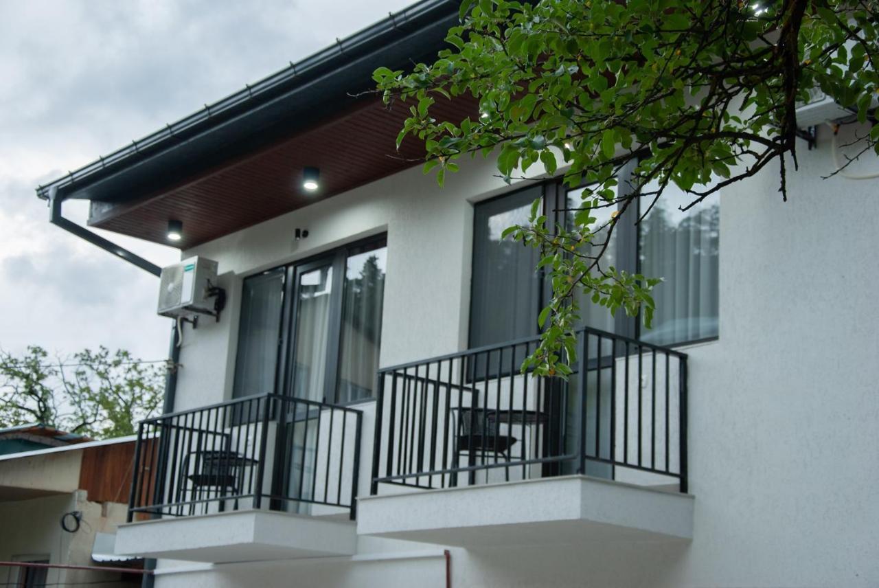 Likani Home Bordžomi Exteriér fotografie