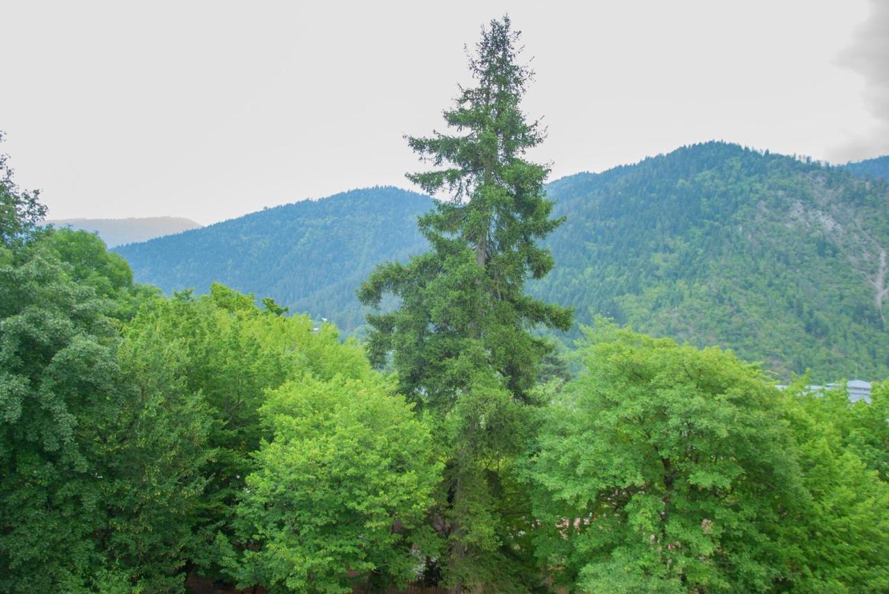 Likani Home Bordžomi Exteriér fotografie